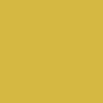 minia_fond_chalet_jaune