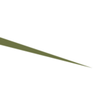 minia_lambrequin_triangle_vert